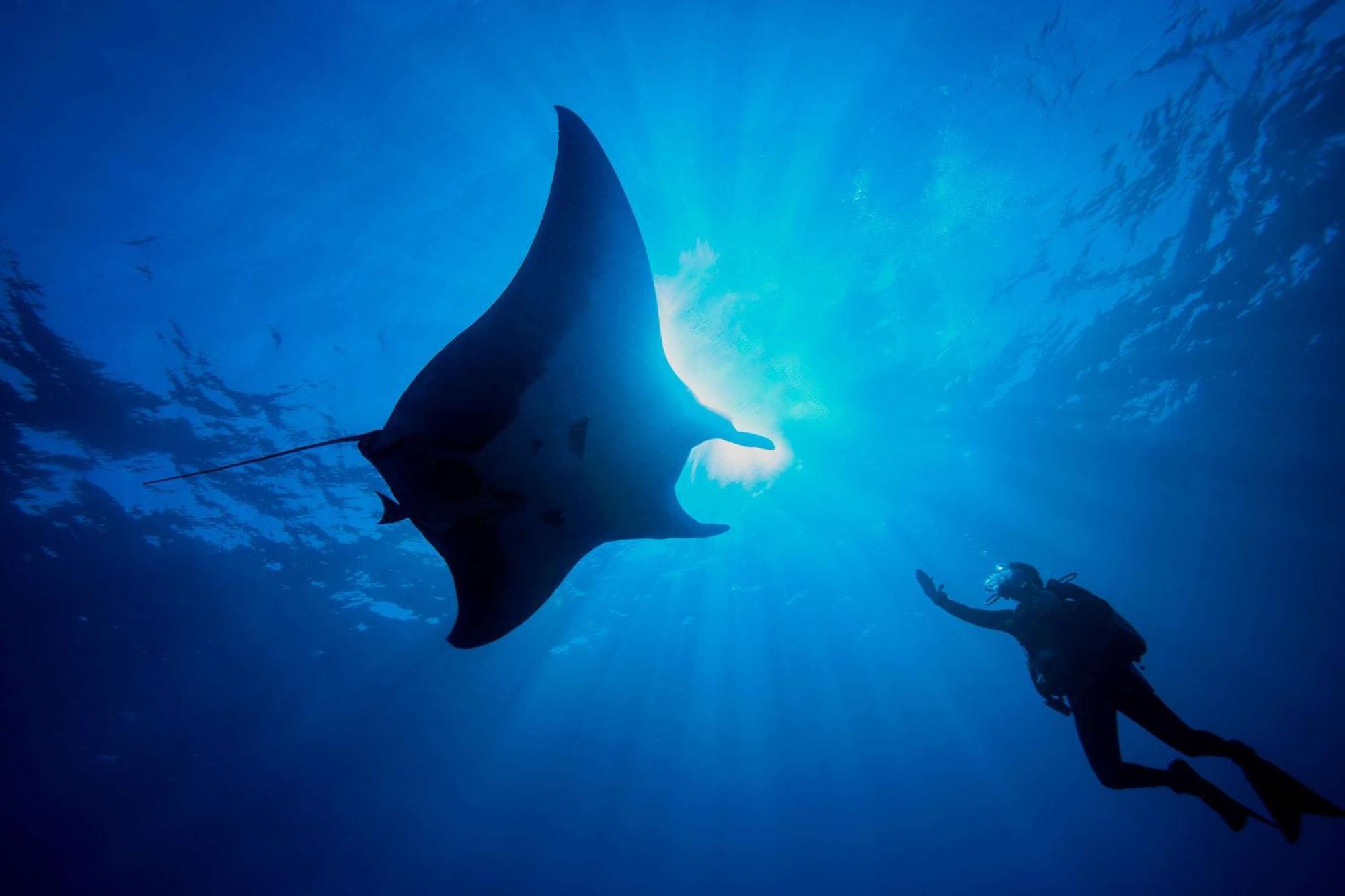 Dusit Thani Maldives - 50 Percent Discount On Transfers For Stays Until 20 Dec 2025 Amilla Fushi Exterior photo
