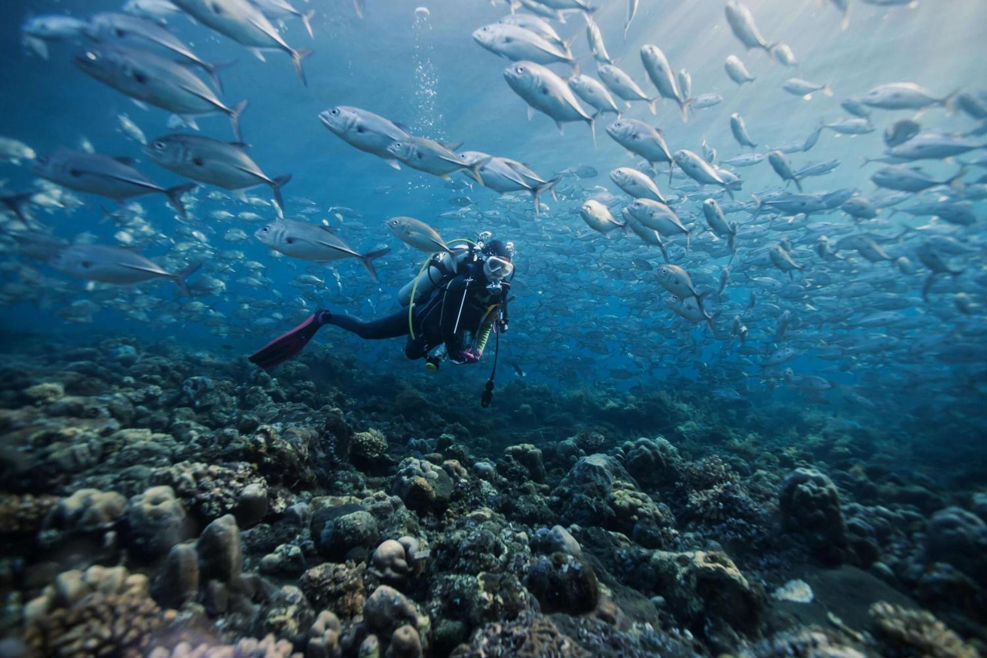 Dusit Thani Maldives - 50 Percent Discount On Transfers For Stays Until 20 Dec 2025 Amilla Fushi Exterior photo