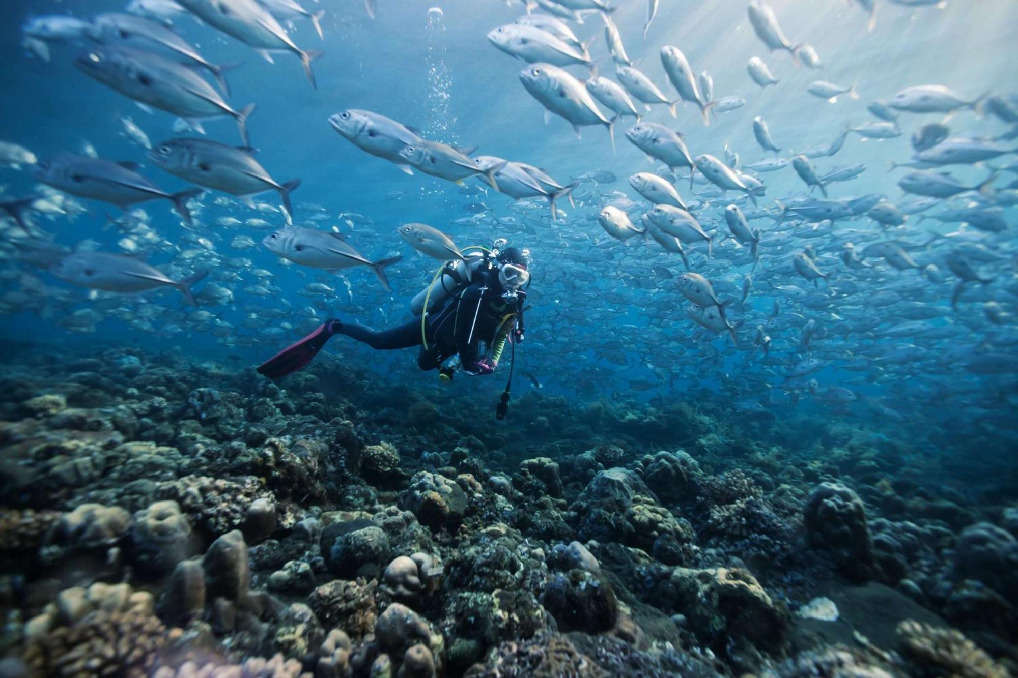 Dusit Thani Maldives - 50 Percent Discount On Transfers For Stays Until 20 Dec 2025 Amilla Fushi Exterior photo